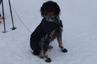 /album/galerie-photos/p1080243-jpg/